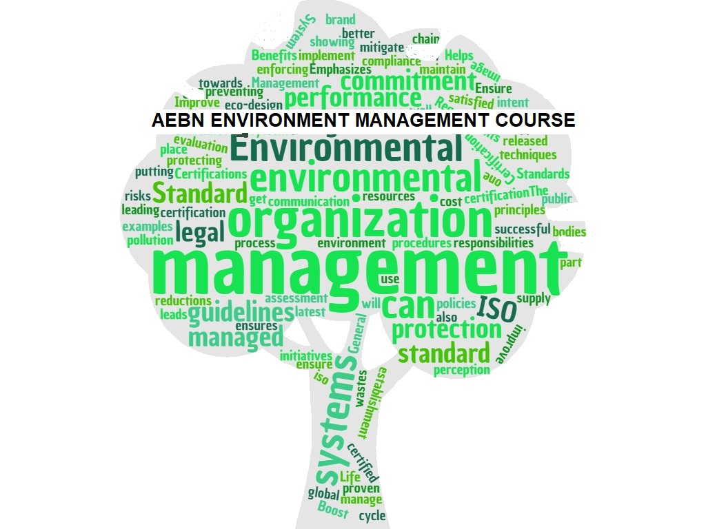 Environment course. Environmental Organization. Environmental Management System. International Organizations for Environmental Protection. International Organization for the Protection of the environment..